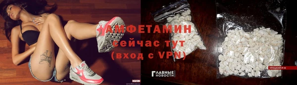 спиды Мегион