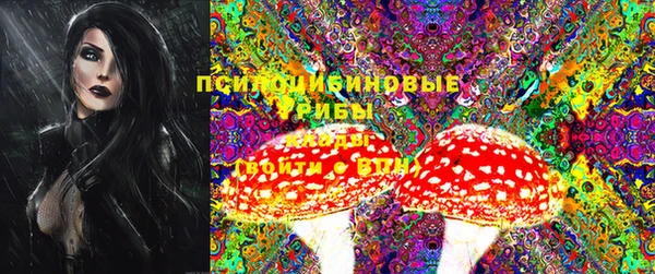 ECSTASY Медногорск