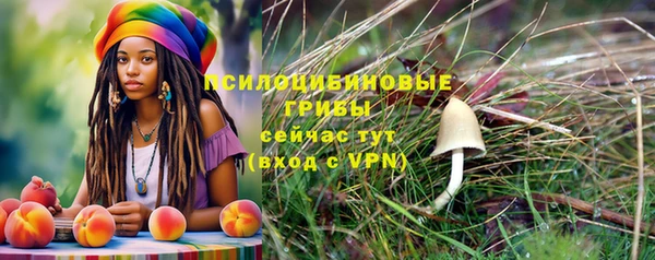 прущие крисы Медвежьегорск