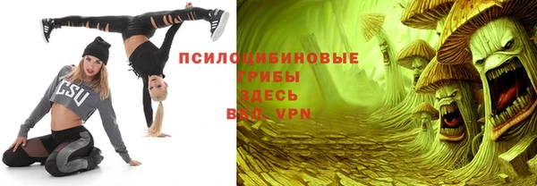 спиды Мегион