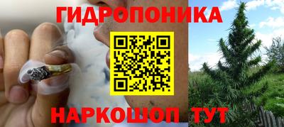 альфа пвп Волгодонск