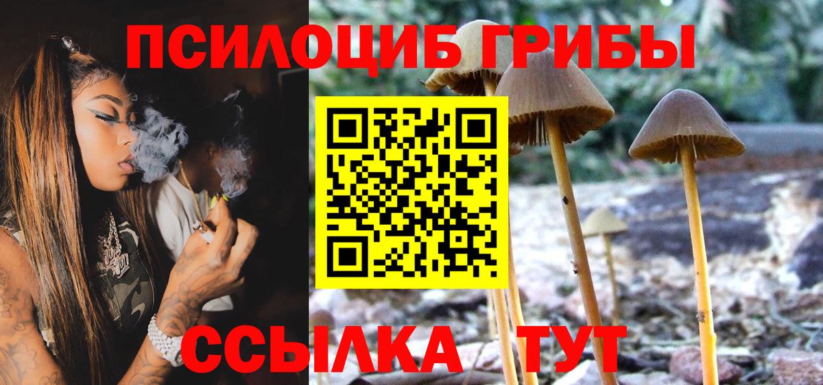 Галлюциногенные грибы ЛСД Йошкар-Ола